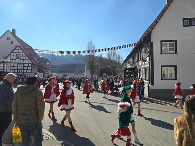 Kinderfasnet 2025 – Foto 7 von 16