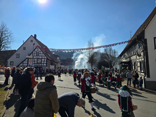 Kinderfasnet 2025 – Foto 9 von 16