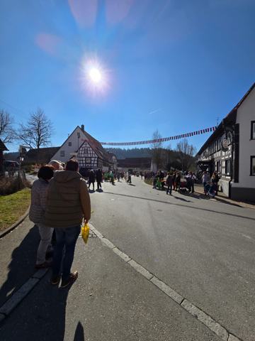 Kinderfasnet 2025 – Foto 10 von 16