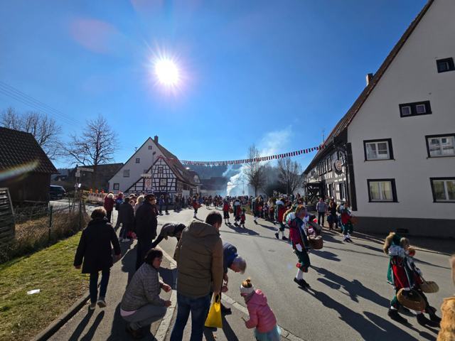 Kinderfasnet 2025 – Foto 12 von 16