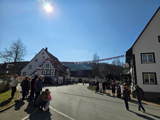 Kinderfasnet 2025 – Foto 13 von 16