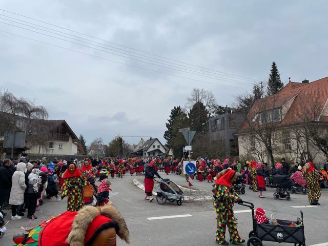 Ringtreffen Aldingen 2025 – Foto 22 von 110